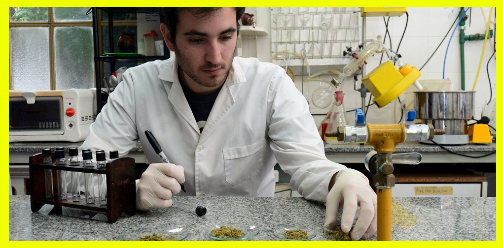 ENTREVISTA A LUCIANO MALAISSI