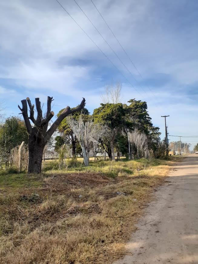 EDEN coordina con el Municipio de Carlos Casares tareas de poda para asegurar la calidad del servicio