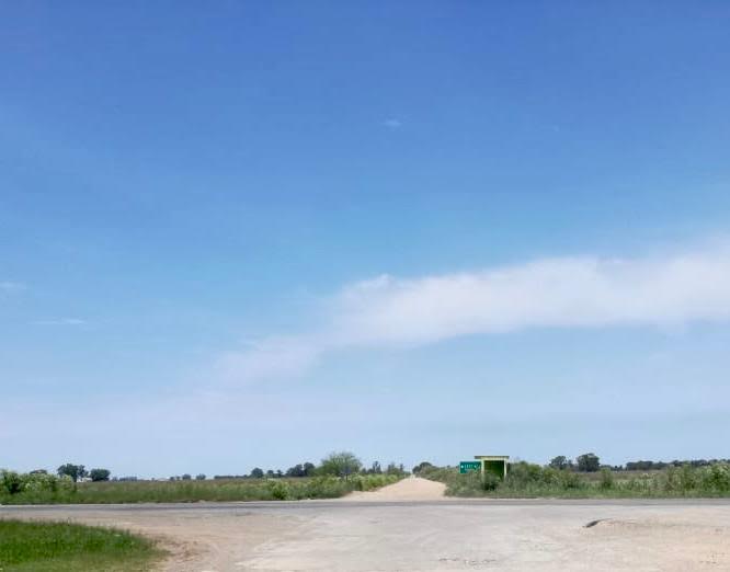 Torchio se entusiasma: