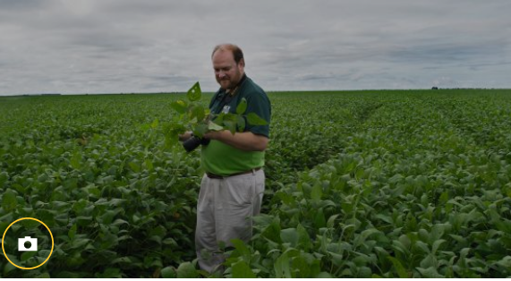 EL “YUYITO” de Cristina