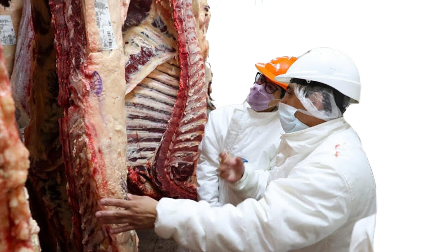 SI QUERÉS COMER CARNE MÁS BARATA…