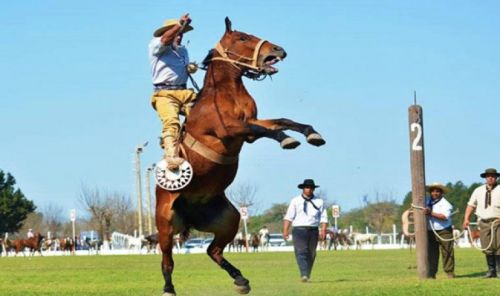 EN LA VILLA DEPORTIVA DEL CLUB BOCA