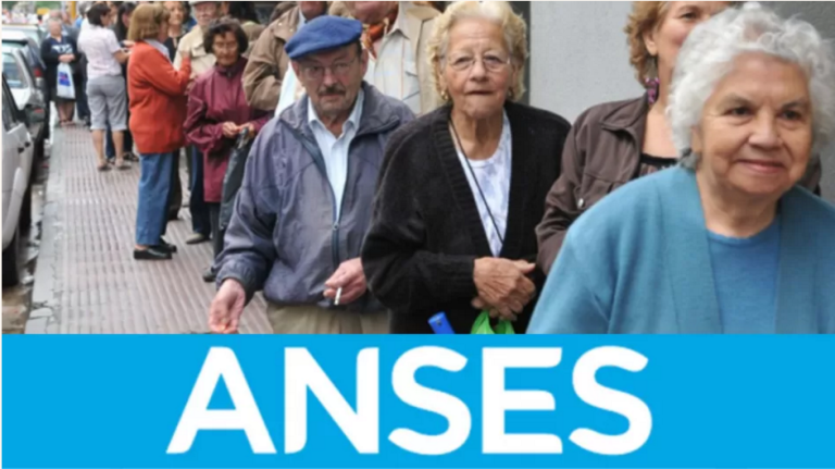 ANSES